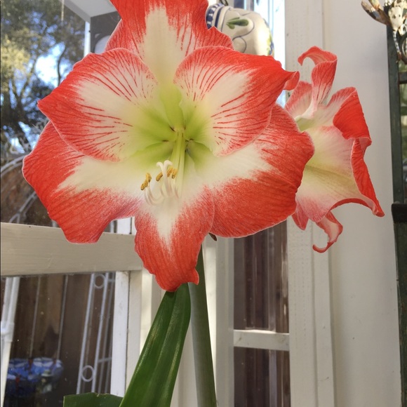 Thank you for visiting my closet! - Picture 7 of 7